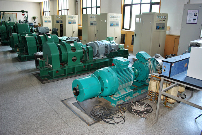 国营尖峰岭林业公司某热电厂使用我厂的YKK高压电机提供动力