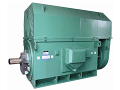 国营尖峰岭林业公司YKK系列高压电机